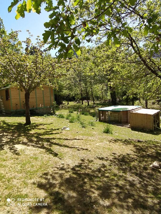 Chalet De Caralba Piscine Villa Ghisoni Esterno foto